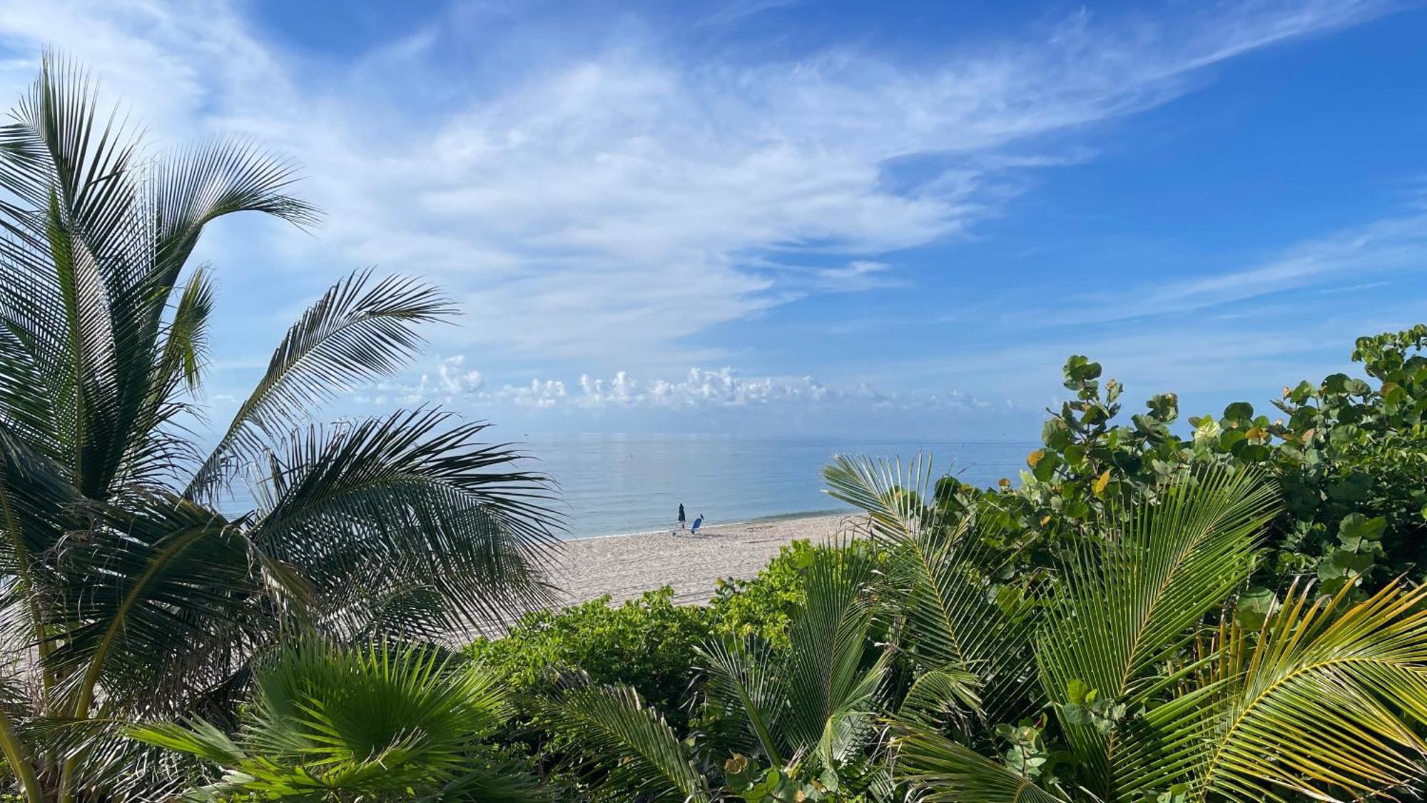 Bts - Lauderdale-by-the-sea